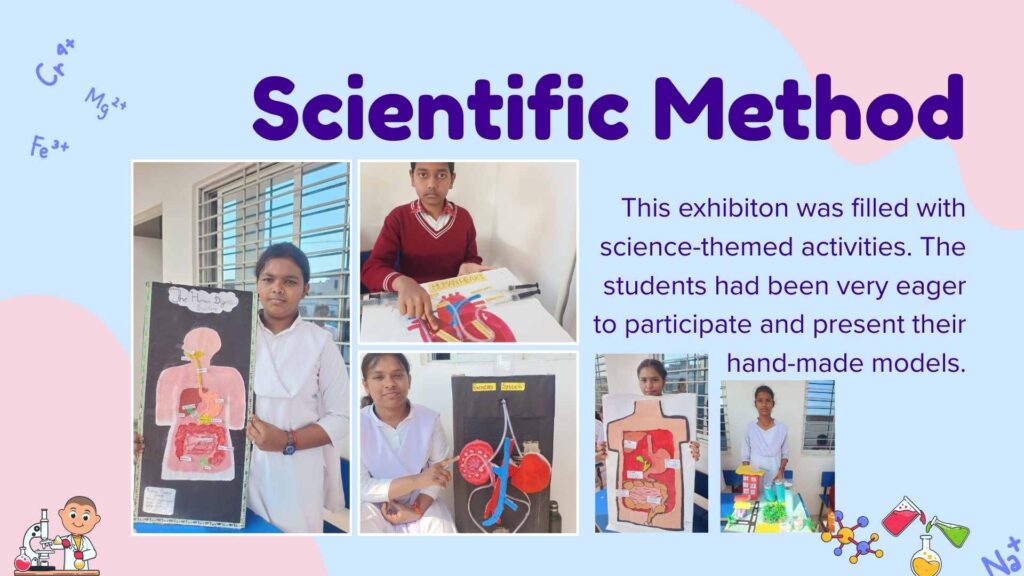 pink and blue playful science class presentation (2)